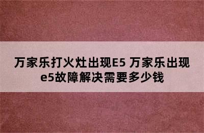 万家乐打火灶出现E5 万家乐出现e5故障解决需要多少钱